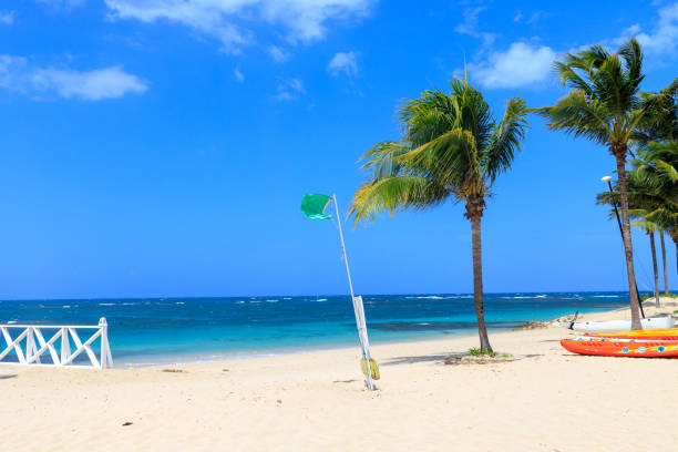 istock Green flag on the beach indicates no danger when bathing. Dominican Republic 1083385554