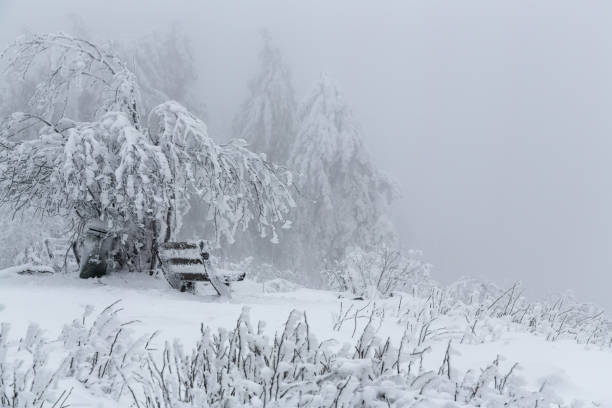 Snow-covered bench in the mountains
