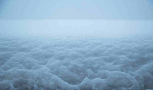 istock Just fallen snow, white and fluffy, frozen winter texture 1083387952