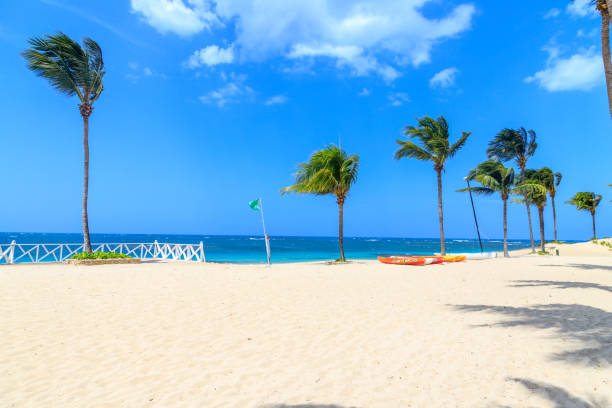 istock Green flag on the beach indicates no danger when bathing. Dominican Republic 1083388020