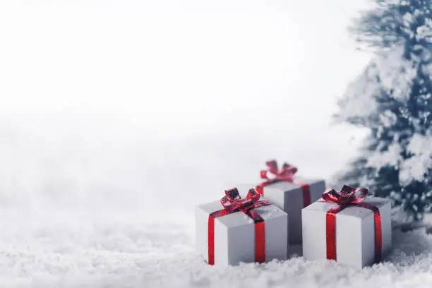 Photo of Gift boxes in snow under tree