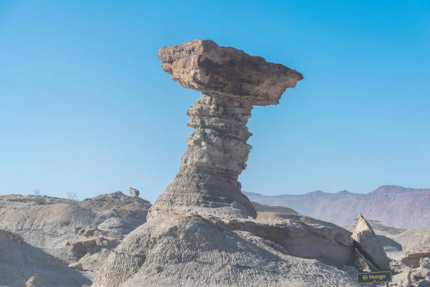 veduta del parco provinciale di ischigualasto nella provincia di san juan, argentina. - triassic foto e immagini stock