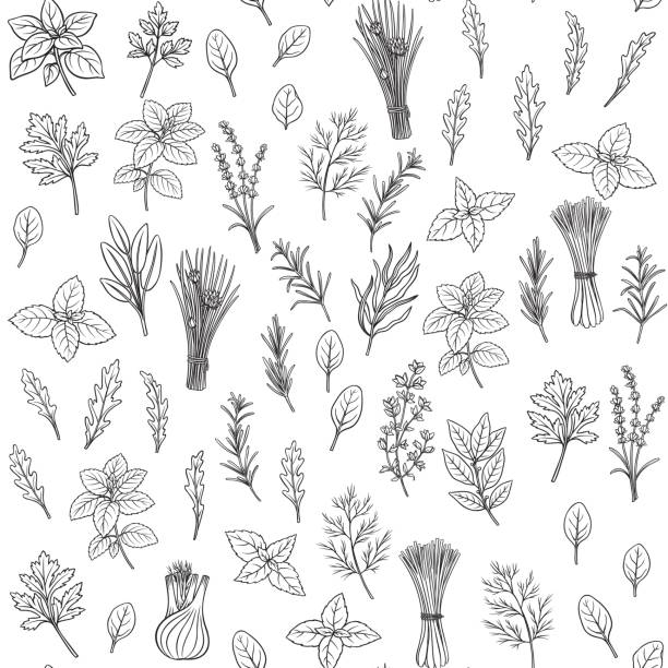 herbs and spice seamless pattern Culinary herbs and spice seamless pattern. Engraved seasoning. Vector illustration. Bay leaf, lemongrass, fennel, dill, cilantro and chives. Thyme, lemon balm, tarragon etc Seasoning design vector food branch twig stock illustrations