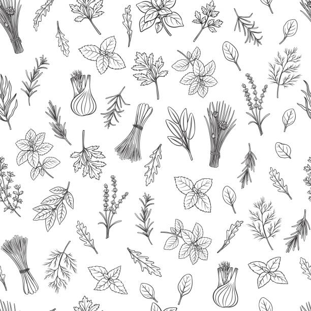 kräuter und gewürze nahtlose muster - herb tarragon thyme parsley stock-grafiken, -clipart, -cartoons und -symbole