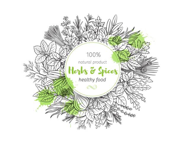 ハーブとスパイス - herb chive parsley herb garden点のイラスト素材／クリップアート素材／マンガ素材／アイコン素材