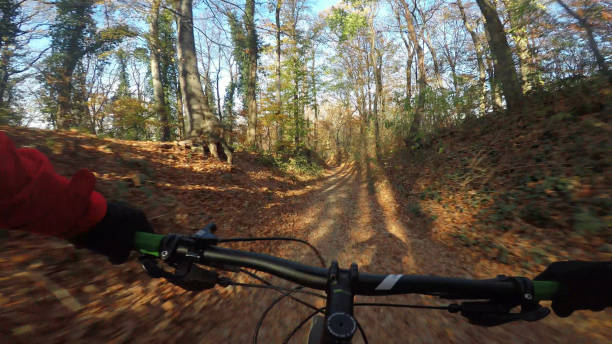 istock Riding a fast single trail in the forest 1083420638