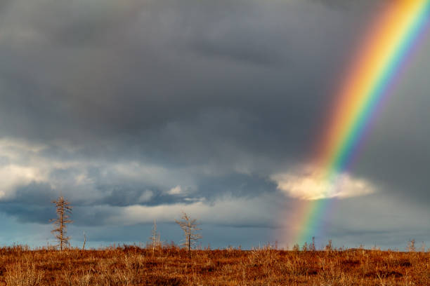 istock Autumn rainbow in the tundra, Dudinka 1083420682