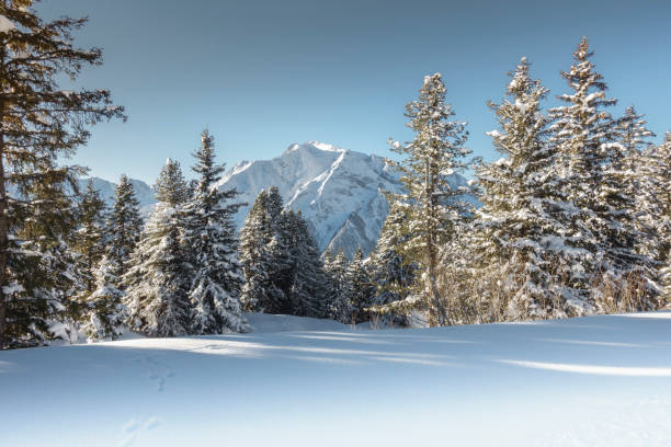 istock Winter landscape with forest and mountain in the background 1083429098