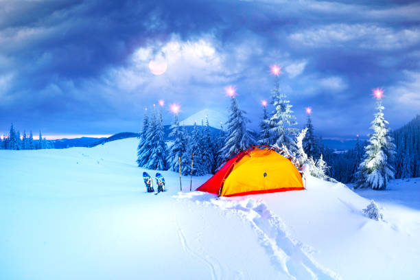 istock Illuminated winter forest in the Carpathians 1083446652