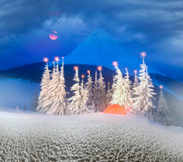 istock Illuminated winter forest in the Carpathians 1083451026