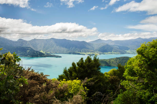 queen charlotte track ver a queen charlotte sound - queen charlotte track fotografías e imágenes de stock