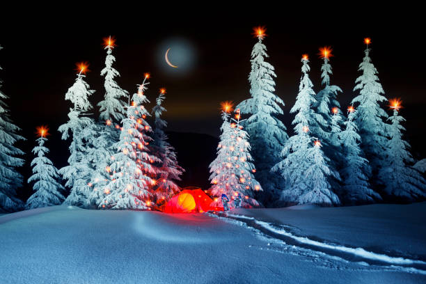 istock Illuminated winter forest in the Carpathians 1083451168