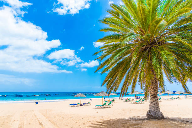 Beach in Tenerife, Canary Islands, Spain