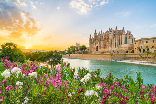 la catedral seu momento de sunet, islas de la palma de mallorca, españa - cathedral church monument religion fotografías e imágenes de stock