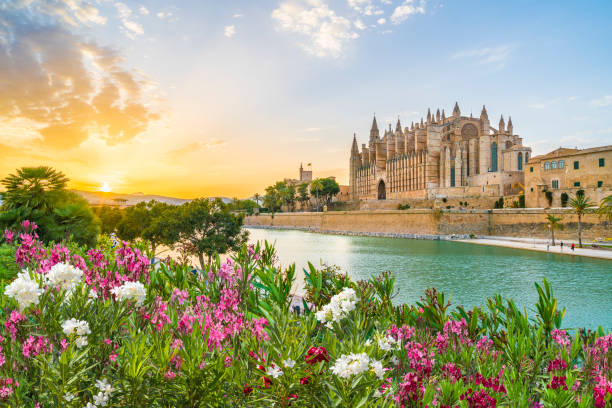 Cathedral La Seu at sunet time, Palma de Mallorca islands, Spain Cathedral La Seu at sunet time, Palma de Mallorca islands, Spain majorca photos stock pictures, royalty-free photos & images