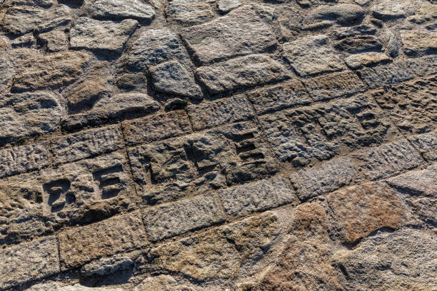 istock Belle ile on the ground 1083458804
