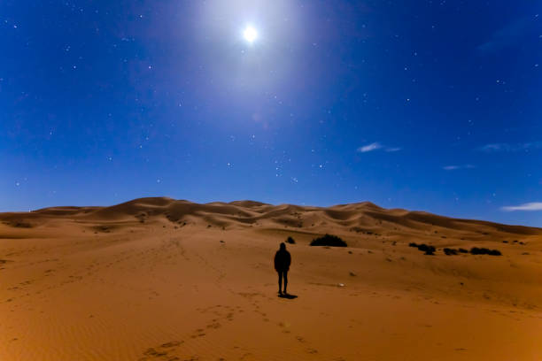 istock Man looking the Moon in the desert 1083459578