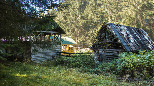 오래 된 wodden 주택에 - forest hut window autumn 뉴스 사진 이미지