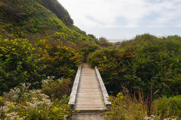 istock Wooden bridge in Beach 2 area 1083464464