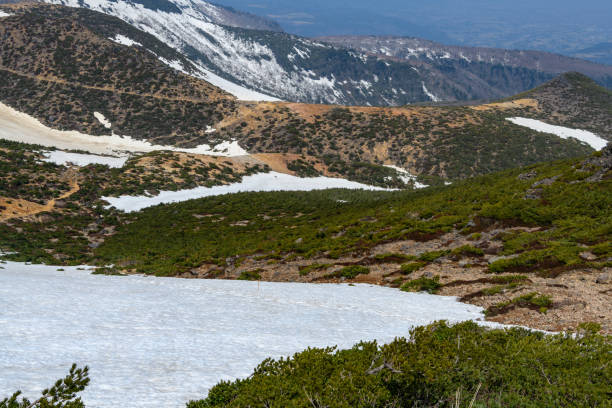 istock The mountain trail and the mountain surface in spring 1083470018