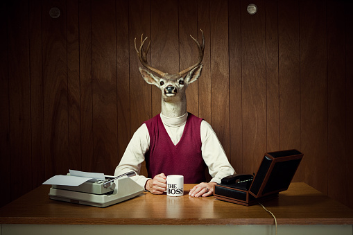 A retro business man with the head of a deer / stag sits in his vintage wood paneled 1970's style office, holding a mug that says 