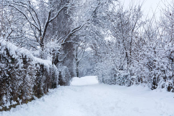 istock Path covered with big snow in park on cold winter day 1083475042