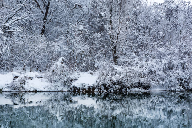 istock River in forest and branches and tree covered with snow 1083475050