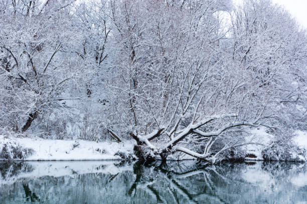 istock River with reflection of forest and tree covered with snow 1083475052