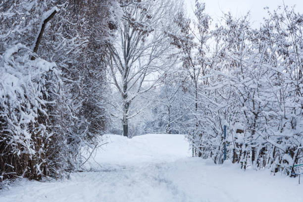 istock Path covered with big snow in nature on winter cold day 1083475054