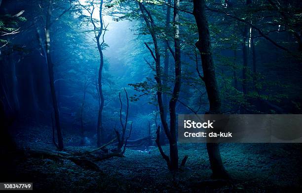 Foto de Misty Floresta e mais fotos de stock de Aura - Aura, Beleza natural - Natureza, Bosque - Floresta