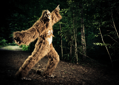 gorilla/big foot pulling a step from a popular 70s disco style dance on a dirty road of the appalachian mountains in north carolina, usa.