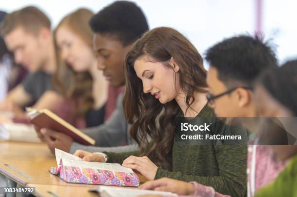 Reading Novels Stock Photo - Download Image Now - Bible, Reading, Teenager