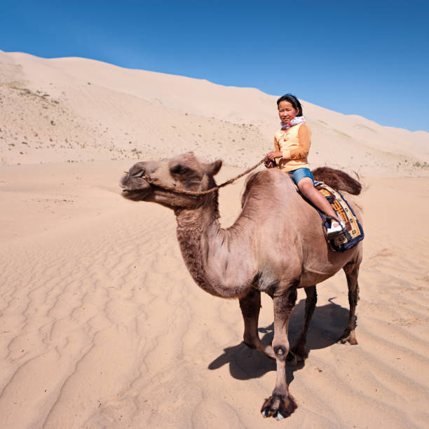 istock Young girl riding on the camel 108348585