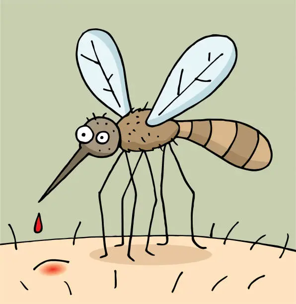 Vector illustration of Hand drawn cartoon mosquito