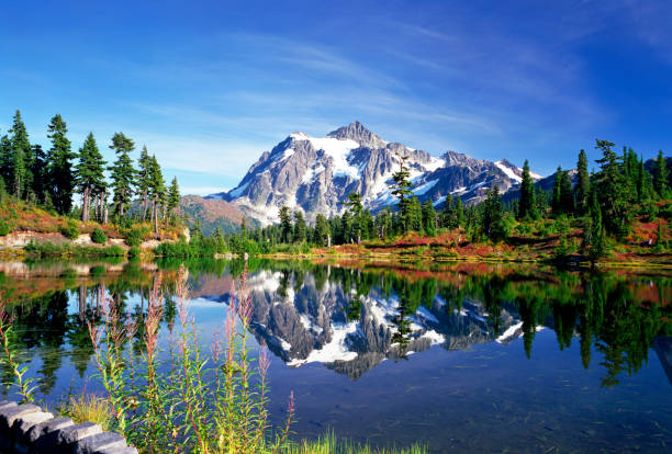 自然美 - picture lake ストックフォトと画像