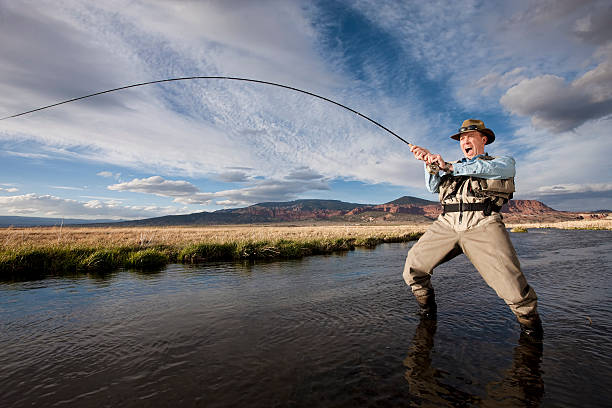 Fish On!  fishing rod photos stock pictures, royalty-free photos & images