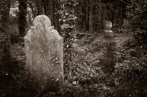 Blurred monchrome image of a ghost moving through a graveyard. Grain and vignetting added for effect.\n[url=file_closeup.php?id=13873775][img]file_thumbview_approve.php?size=1&id=13873775[/img][/url]\n\n[url=file_closeup.php?id=13925061][img]file_thumbview_approve.php?size=1&id=13925061[/img][/url] [url=file_closeup.php?id=13925346][img]file_thumbview_approve.php?size=1&id=13925346[/img][/url]\n\nSee more images of the Paranormal here:\n[url=http://www.istockphoto.com/file_search.php?action=file&lightboxID=6557855][img]http://www1.istockphoto.com/file_thumbview_approve/10040682/2/istockphoto_10040682_Paranormal[/img][/url] [url=file_closeup.php?id=28920566][img]file_thumbview_approve.php?size=1&id=28920566[/img][/url] [url=file_closeup.php?id=28904318][img]file_thumbview_approve.php?size=1&id=28904318[/img][/url] [url=file_closeup.php?id=28899426][img]file_thumbview_approve.php?size=1&id=28899426[/img][/url] [url=file_closeup.php?id=28778212][img]file_thumbview_approve.php?size=1&id=28778212[/img][/url]
