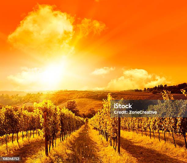 Foto de Wonderful Toscana Vista Para Hills Entre As Vinhas Ao Pôr Do Sol e mais fotos de stock de Agricultura