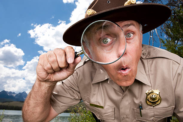 A Yellowstone park ranger tries to lure a bear cub away from the road.  Shallow DOF