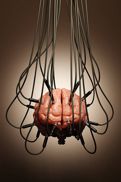 Wires hanging from above connected to a brain