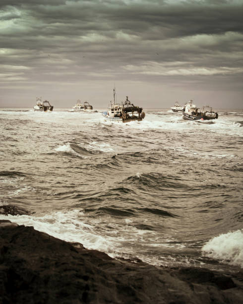 Trawlers in the early morning leaving to work - ISO 400.
