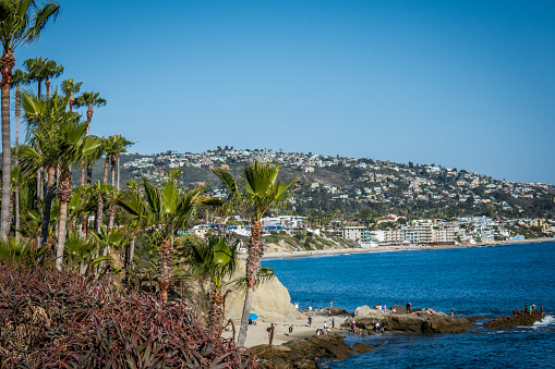 Palm trees and the blue Pacific Ocean view in Laguna Beach, California, in Southern California