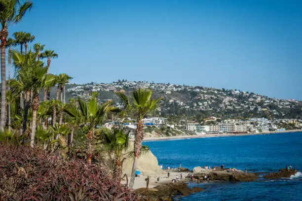 Palm trees and the blue Pacific Ocean view in Laguna Beach, California, in Southern California
