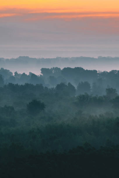 istock Mystical view from top on forest under haze at early morning. Mist among layers from tree silhouettes in taiga under warm predawn sky. Morning atmospheric minimalistic landscape of majestic nature. 1083497310