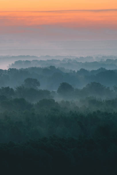 istock Mystical view from top on forest under haze at early morning. Mist among layers from tree silhouettes in taiga under warm predawn sky. Morning atmospheric minimalistic landscape of majestic nature. 1083497330