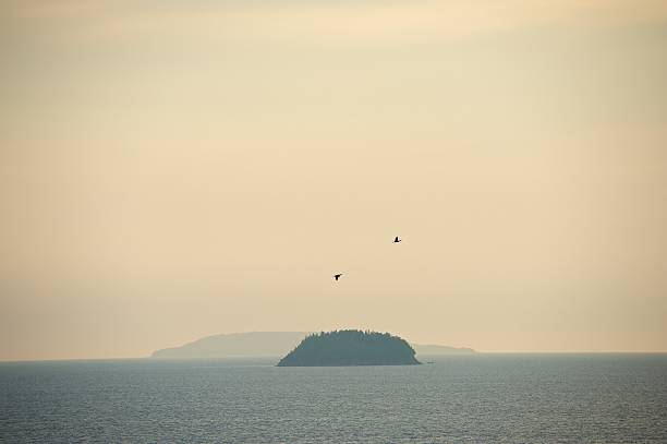 Tobermory isole, Fathom cinque parco nazionale - foto stock