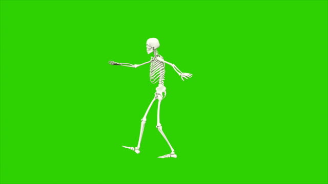 Skeleton dancing on an isolated green background, seamless loop animation  Free Stock Video Footage Download Clips bone