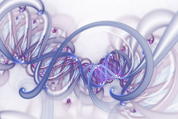 istock Genetic engineering and gene manipulation concept. DNA helix molecules and chromosomes, DNA strand, molecule or atom, neurons. 1083502880