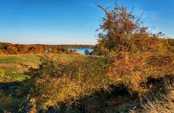 istock Autumn trees with the Schwerin lake in the background. 1083505232