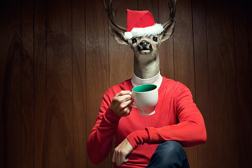 A stag / buck / reindeer dressed in traditional Christmas holiday colors and a Santa Claus hat holds up a cup of hot chocolate in front of a vintage wood paneled wall. Horizontal with copy space.